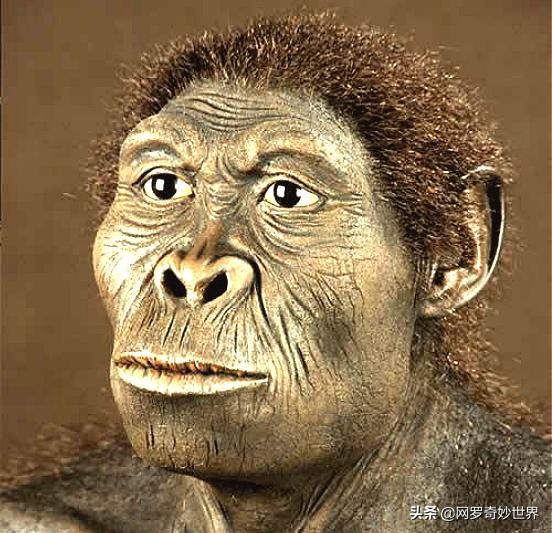 美人鱼真的存在吗科学家发现过吗,美人鱼它真的存在吗