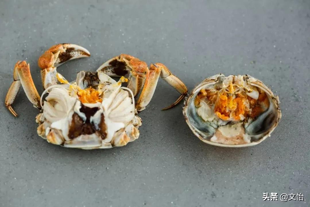 海蟹和河蟹有什么区别哪个鲜,科普河蟹和海蟹的区别