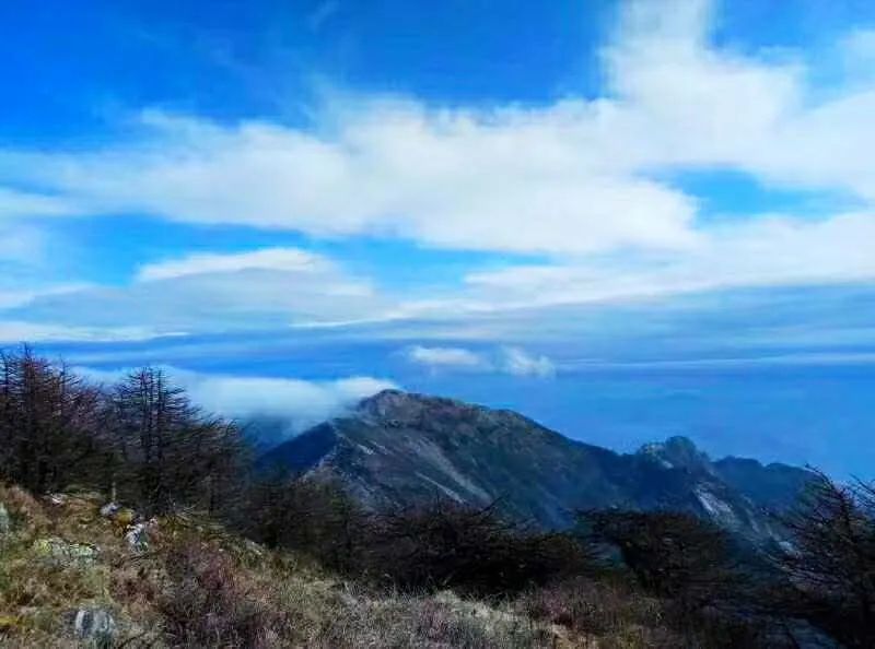 登秦岭之巅赏朱雀秋季美景,登秦岭之巅赏秦岭初秋之美