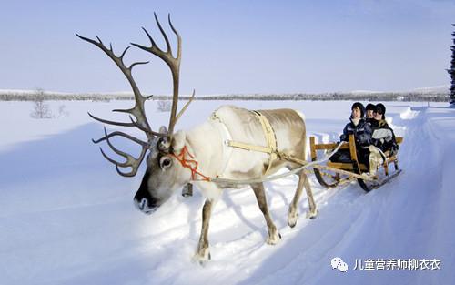 暑假带孩子内蒙古旅游攻略,暑期内蒙古亲子游鄂尔多斯