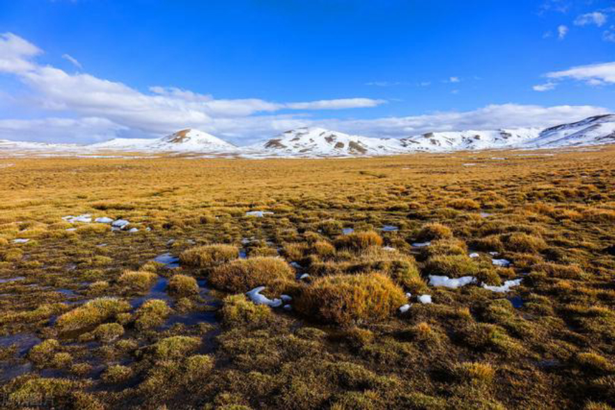 可可西里沙漠吞噬片段,可可西里的腹地有多可怕