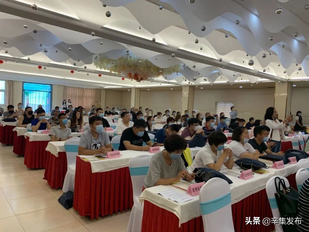 设立新机构方案,成立新机构