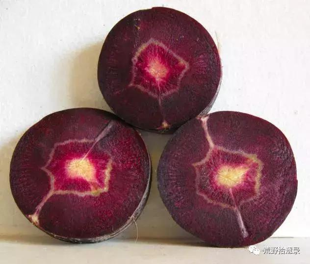 你知道胡萝卜是怎么来的吗,胡萝卜的演化史