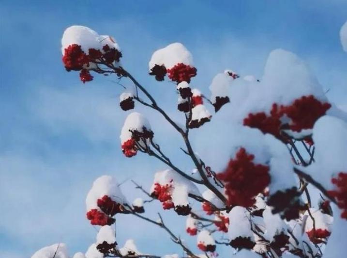 下元节是个什么节日,下元节的日期及习俗