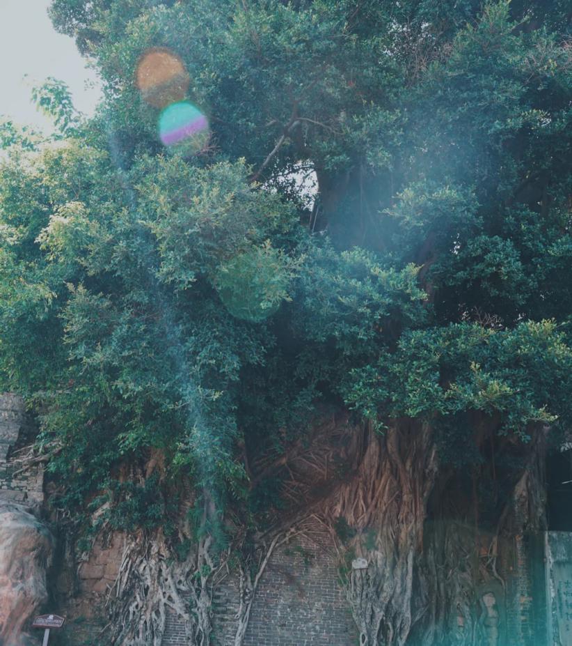 给我一整天，还你一千年——南风古灶