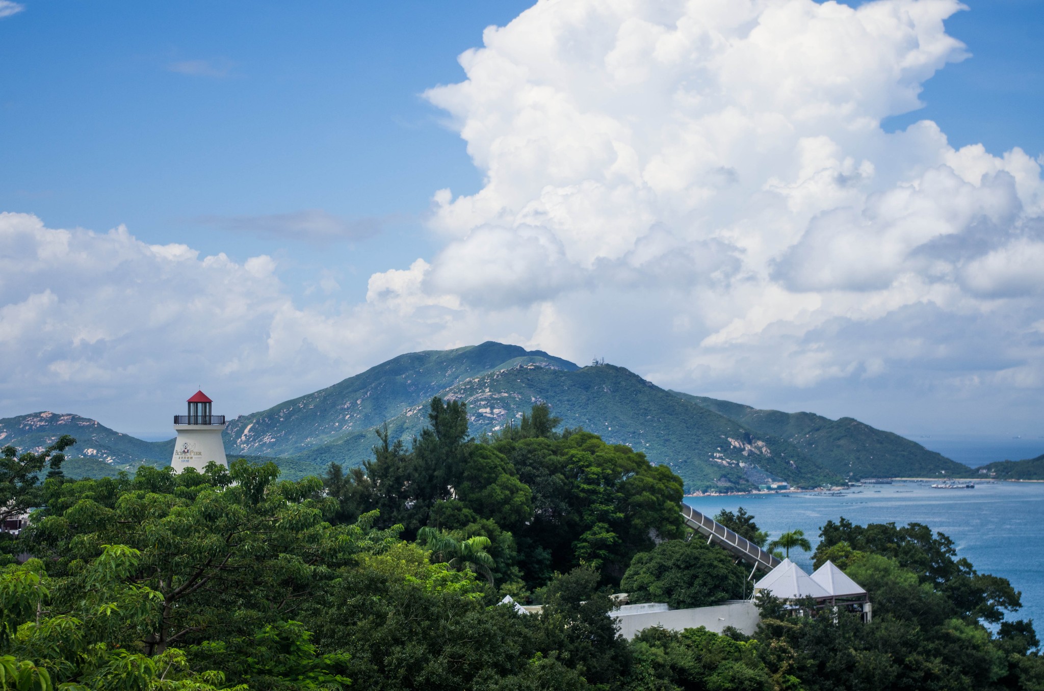 香港海洋公园现在盈利吗,香港海洋公园现在情况