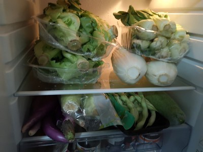 有机蔬菜种植技术大全,种植有机蔬菜怎样选择肥料