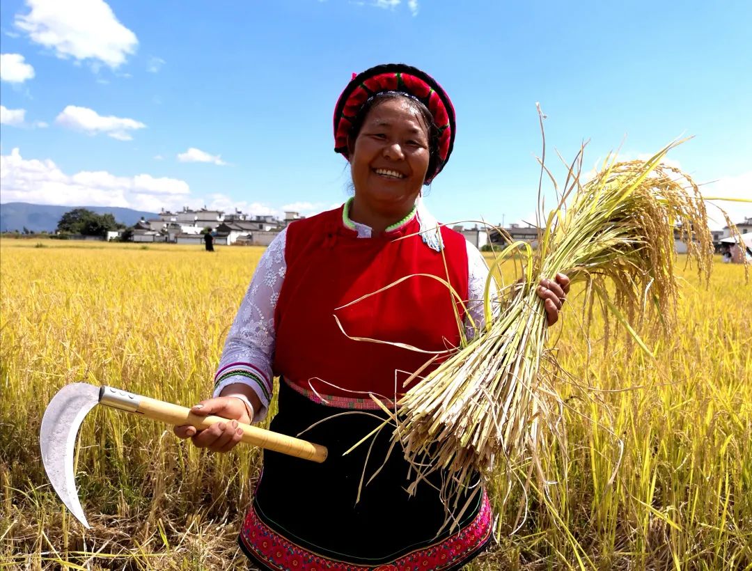 2023平遥国际摄影节获奖摄影作品,2009大理摄影展获奖作品