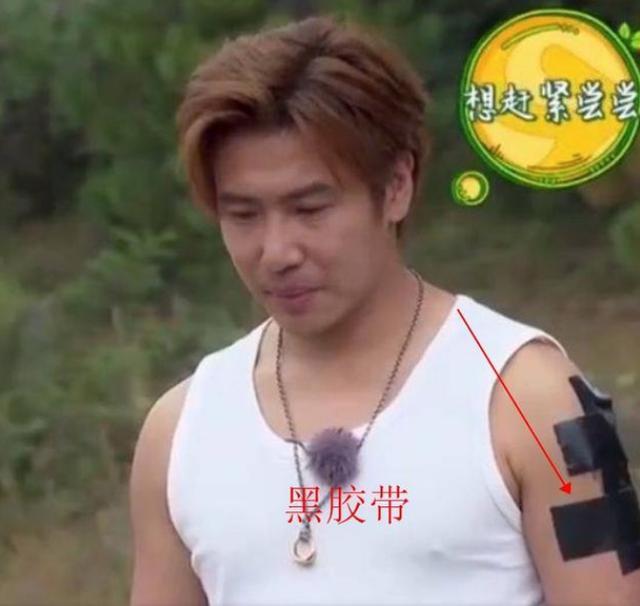 上综艺节目不能露纹身,明星上综艺遮纹身