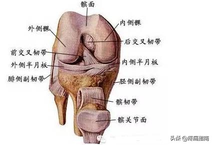 疼痛调理手法,疼痛治疗技巧视频