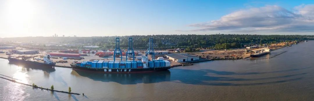 集装箱码头运营商,全球集装箱码头运营商年报