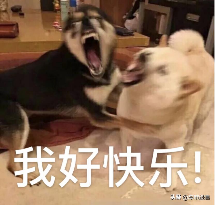 飞度gk5车主自述,本田gk5车主评价