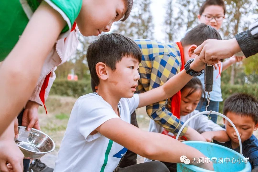 翻地、播种…无锡老小将课堂搬到了田间地头