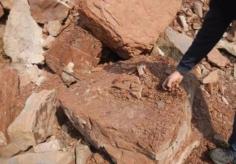 真正的木鱼石,木鱼石和石头哪个好