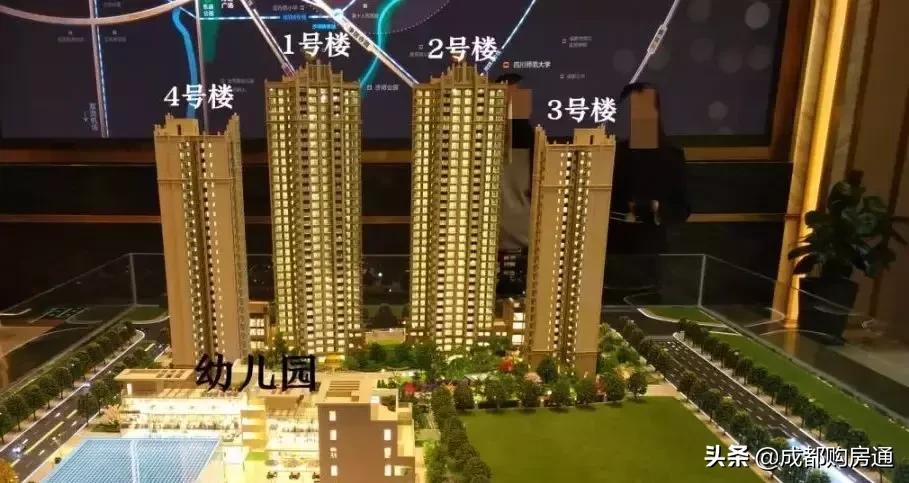 种了20年的铁树终于开花了,养了几十年的铁树终于开花了