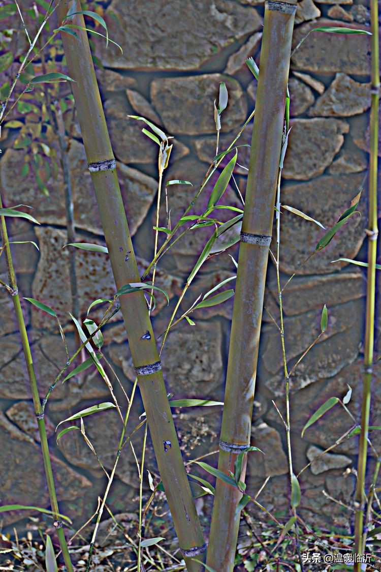 竹泉村景区,最美竹泉村