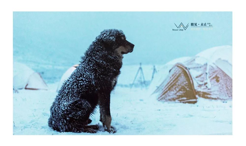 高山低谷的感悟,高山之巅的感悟