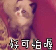 身体消瘦夜里睡觉磨牙,睡觉磨牙心理是什么问题