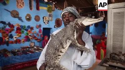 把非洲鳄界扛把子当宠物养是一种怎样的体验？