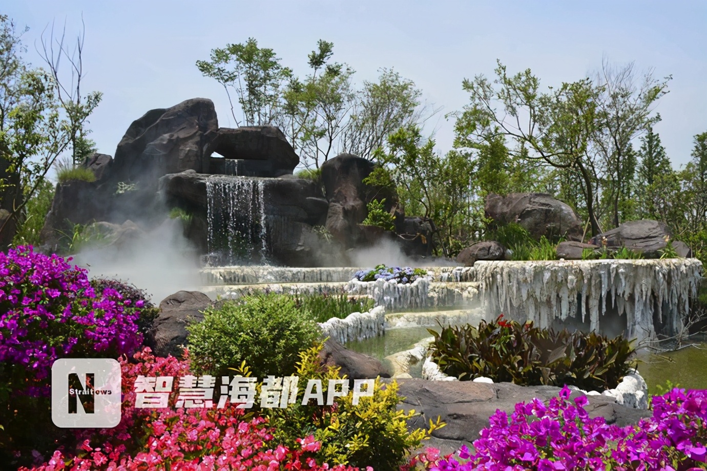 福建表现亮眼!新品种“兰花金边咖啡”获花博会特别大奖