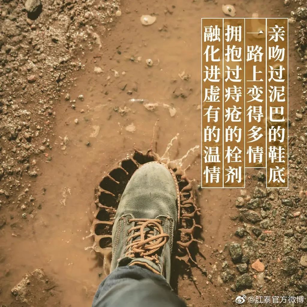 肛泰湿巾广告语,肛泰文案