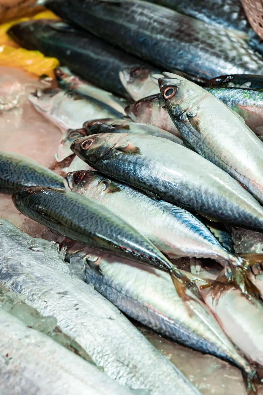 深圳宝安农批市场是几级,宝安农批市场在什么街道