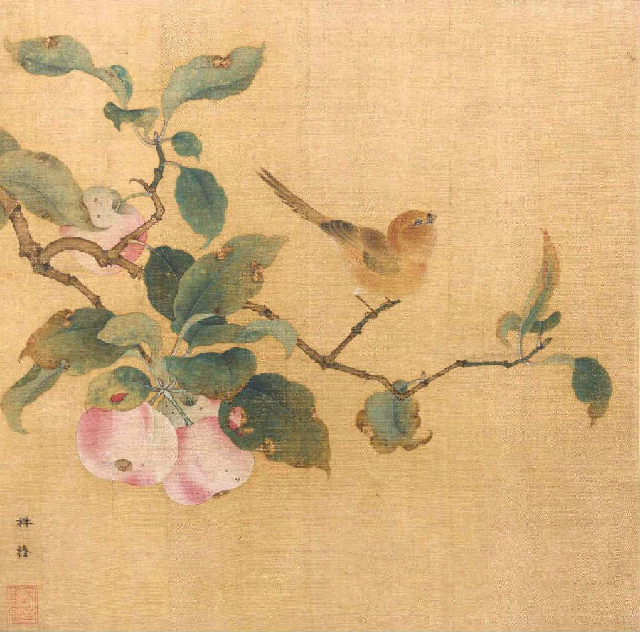 古代把苹果叫什么名字,苹果在古代的名字原来这么美