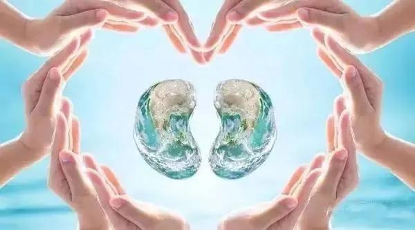 慢性肾病一天吃多少肉,慢性肾脏病一二期如何科学喝水