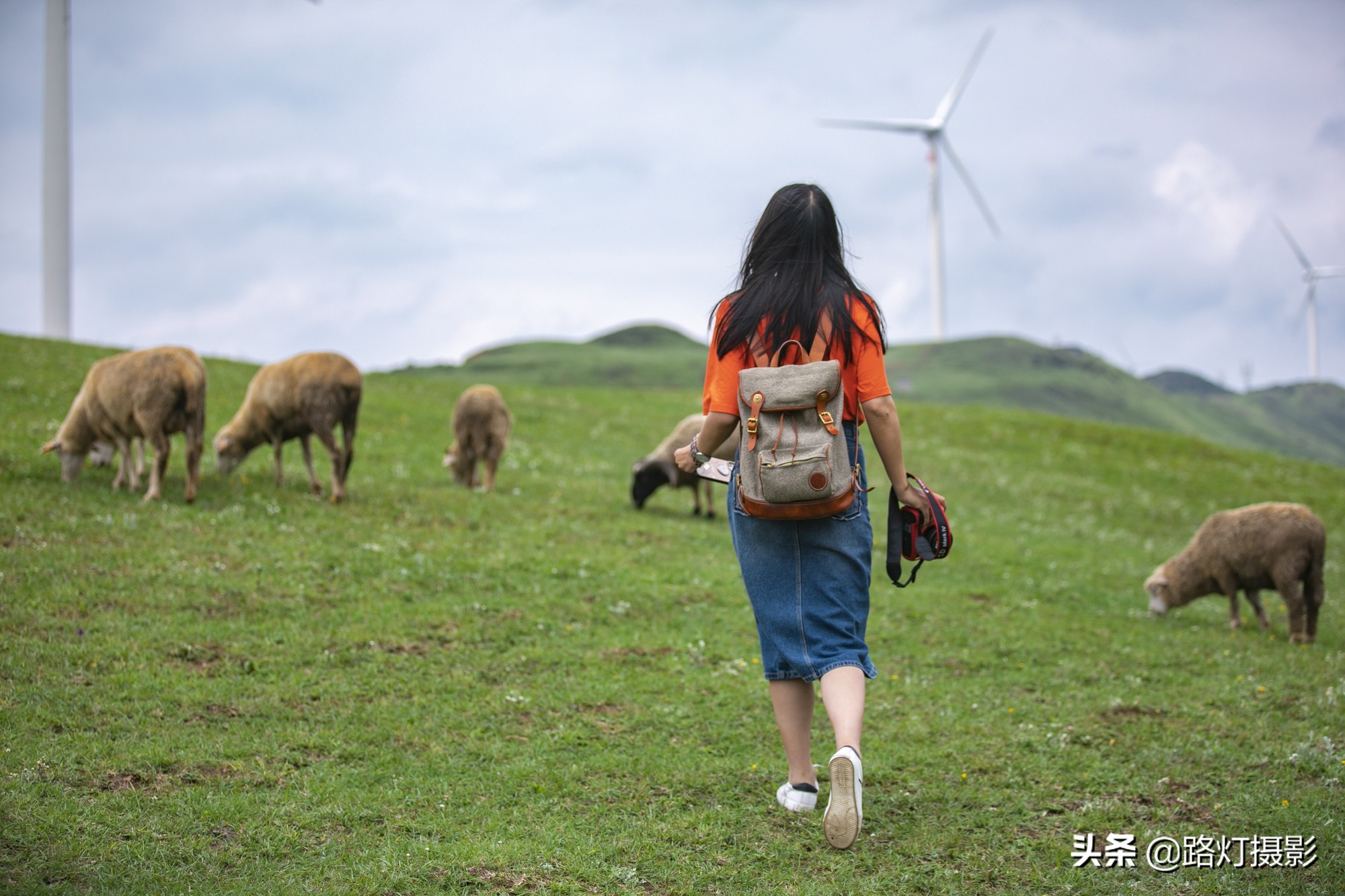 贵州这个县级市不简单，川黔要塞避暑胜地，靠一种水果跻身土豪榜