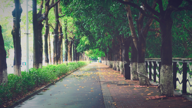 云浮小众旅游推荐,云浮小城