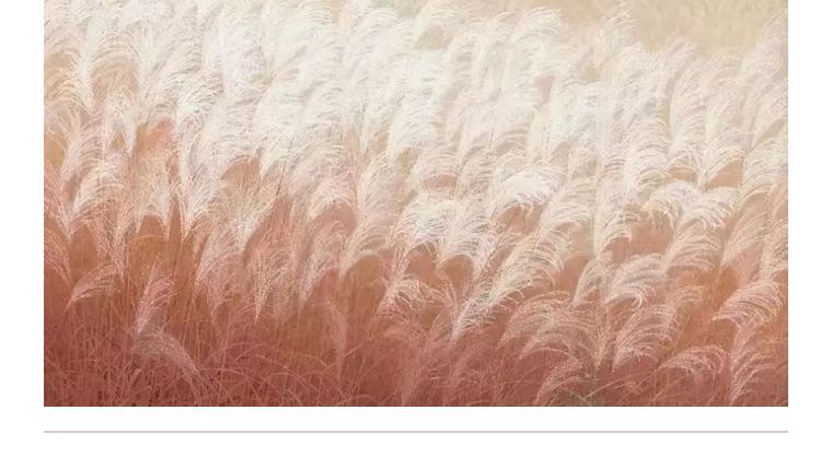 女人梦见好多蛇很害怕是什么预兆,梦见蛇感到非常恐惧怎么办