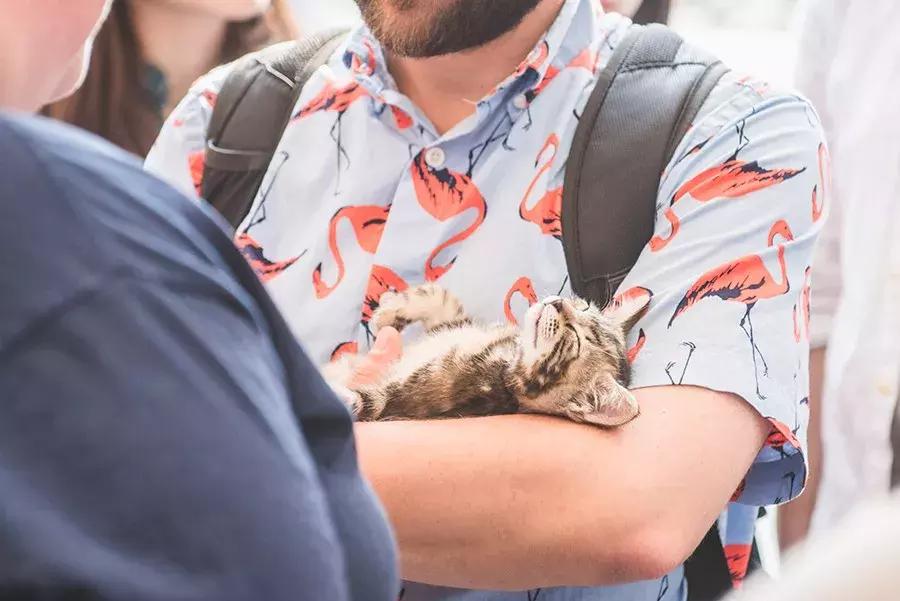 爱宠人：你知道困难重重的TNR是什么吗？