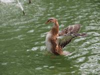 全球首测||精致全能型微单奥林巴斯E-M5MarkIII评测