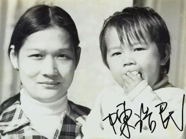 陈浩民谈五年连生4个孩子,陈浩民谈四胎原因