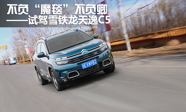 雪铁龙魔毯是哪一款车,雪铁龙魔毯悬挂的车