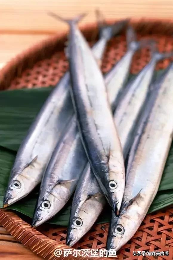 32种经典寿司做法视频,寿司常用的鱼