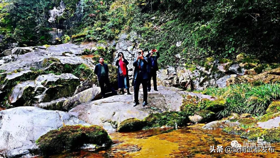 閲戠宄渤鍏洯,閲戠瑁曟渤鍥剧墖