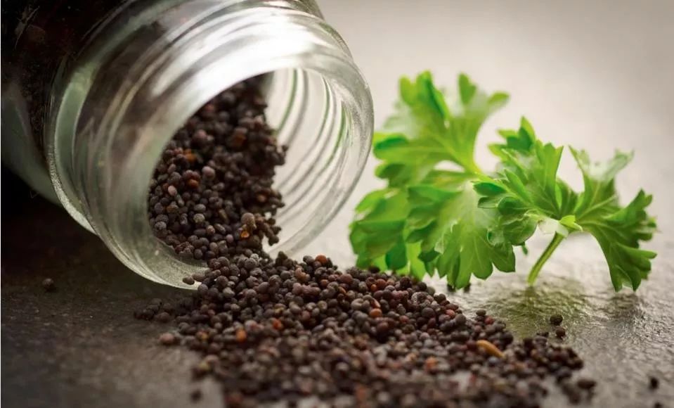 黑芝麻真的可以让头发变黑吗,多吃黑芝麻能不能让头发变黑