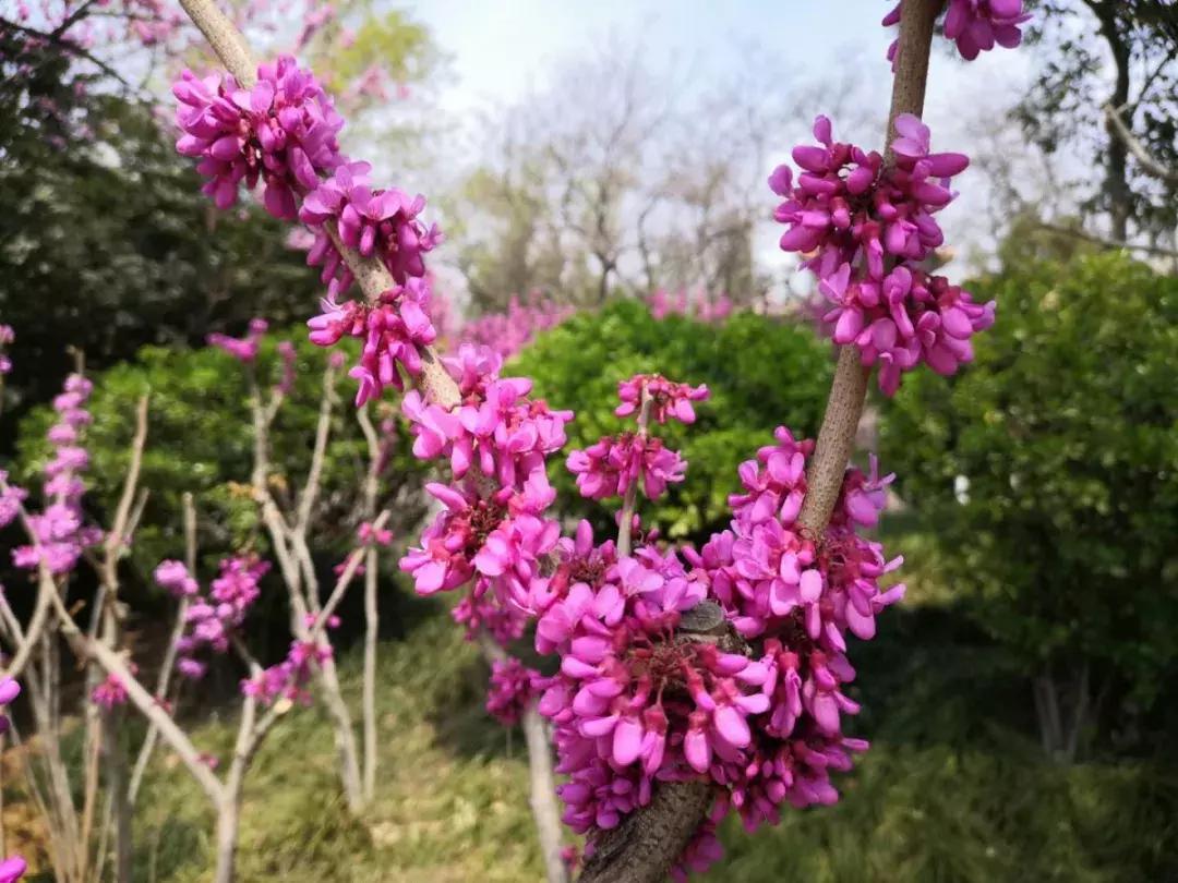 猛料！2019郑州即将全面开挂！劝你别离开郑州！