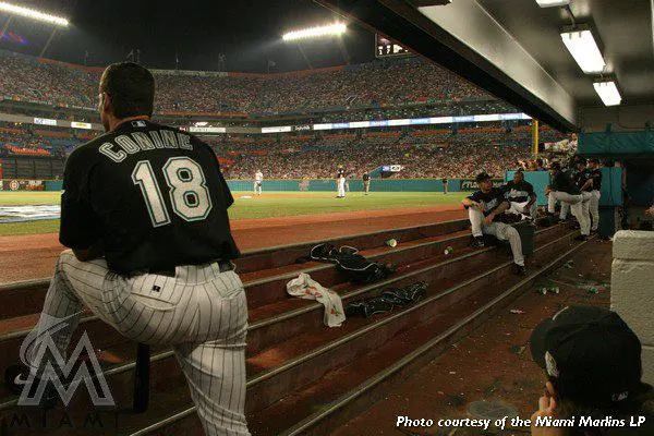 搬家，改名，你不知道这两支佛罗里达球队有多拼！「地域棒球」