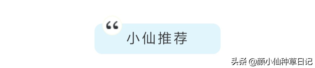 柳岩露出香肩,柳岩露锁骨