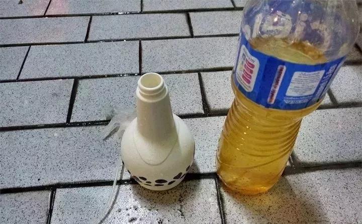 月季杀虫最有效液,什么植物可以帮月季杀虫