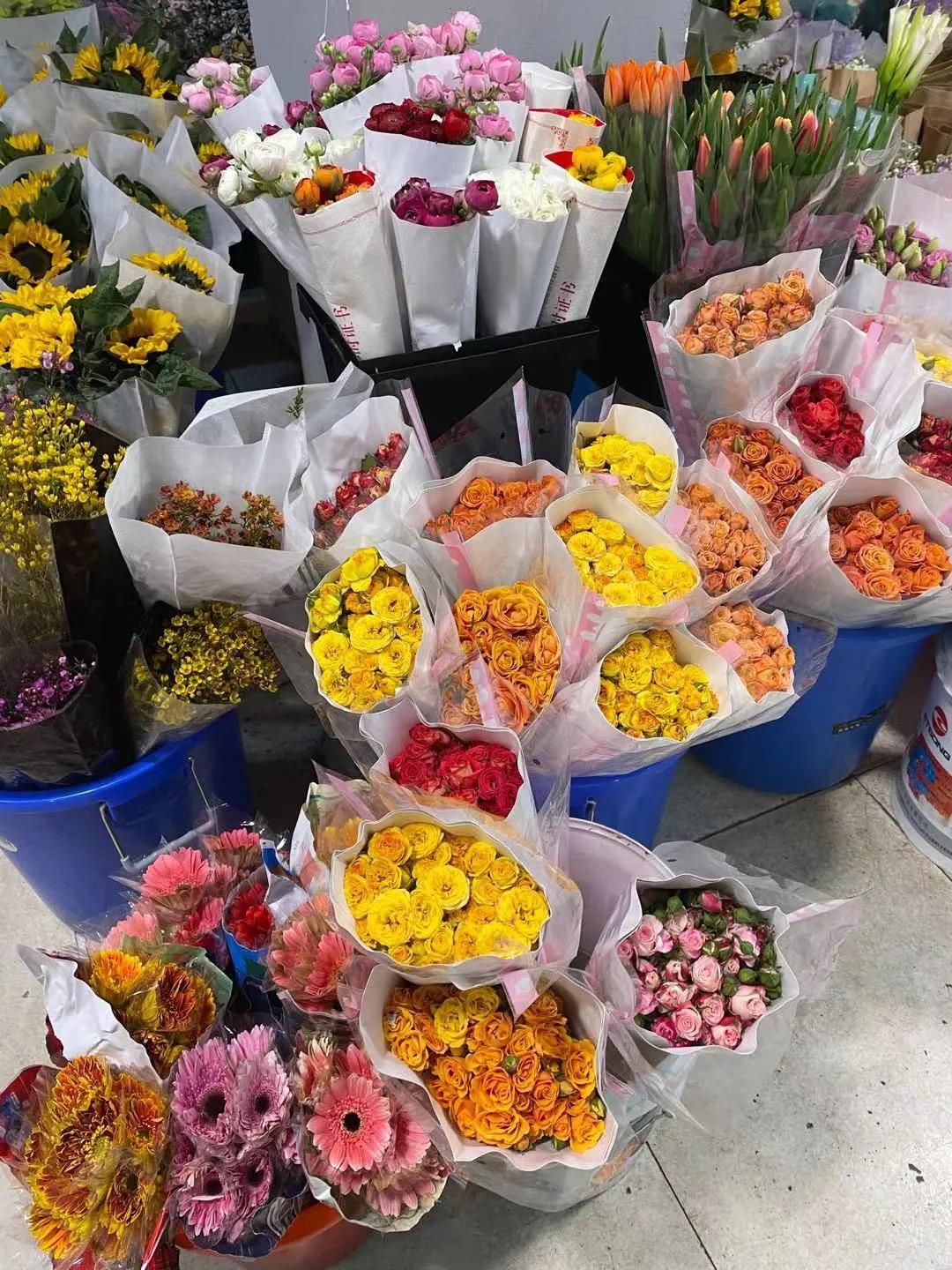 实拍青岛花卉市场！你每年都会选购哪些品种的年宵花呢？