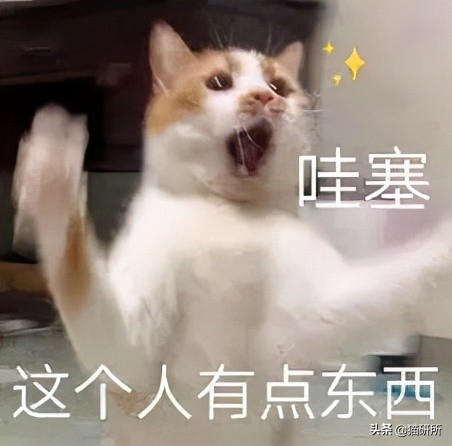 猫咪为什么老是叫讨食,猫咪为什么总是嗯嗯的叫