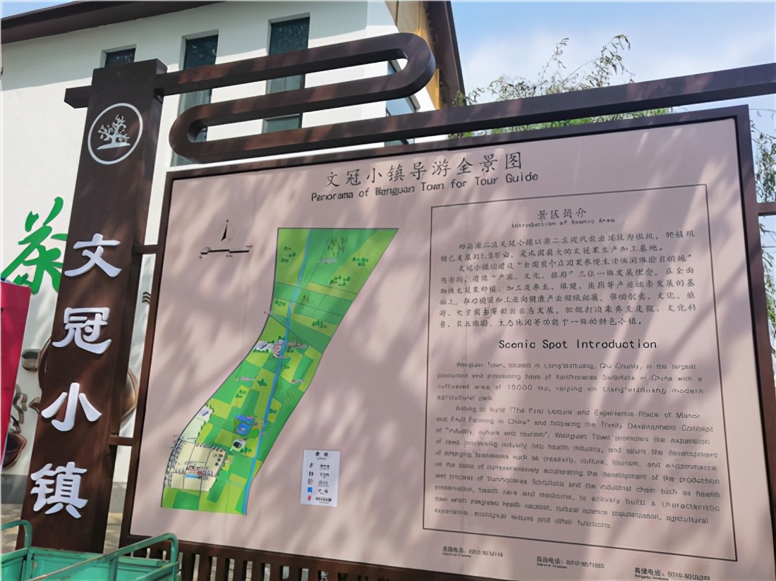 邱县第五届文冠果花节,邱县文冠花节掠影