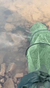 开心搞笑视频小哥哥,小哥哥搞笑视频gif