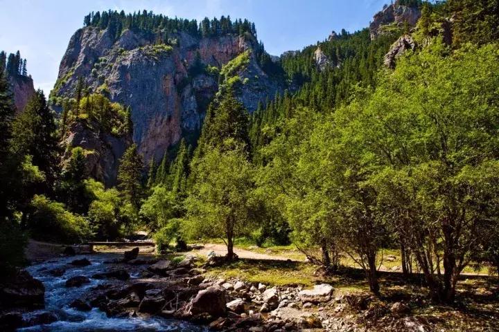 甘肃四大石林，独特的旅行风情体验