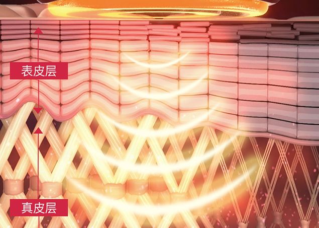 雅萌到底该怎么选,新手买雅萌哪款合适