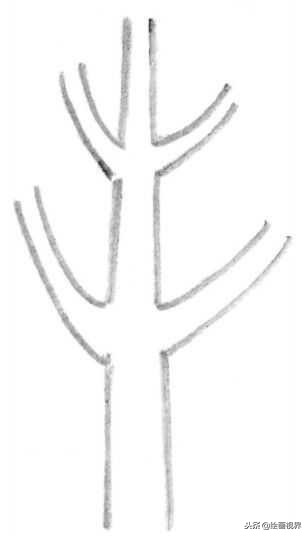 钢笔画入门教程花鸟,钢笔画入门基础教程人物