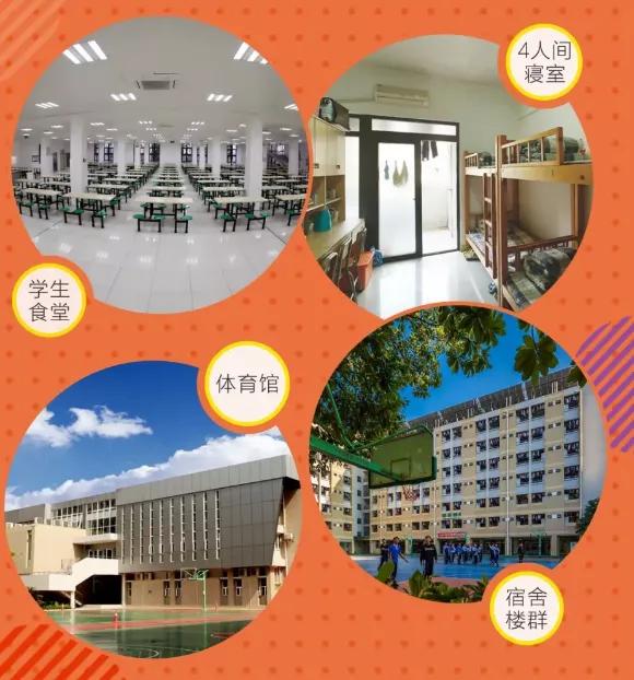 2024年深圳中考学校介绍,关于深圳中学中考的最新消息